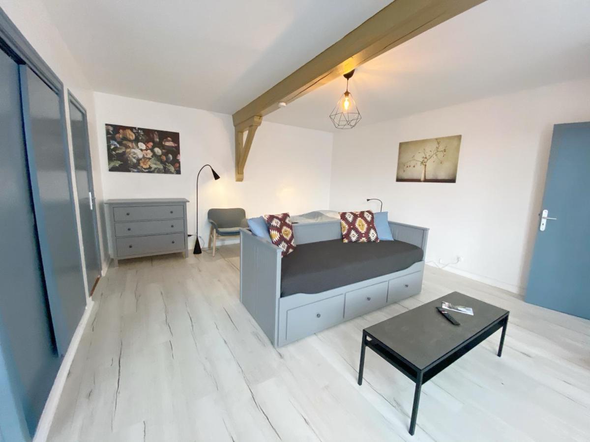 Appartamento CHIC&COSY Studio BUSINESS Centre GARE NETFLIX Saint-Etienne  Esterno foto