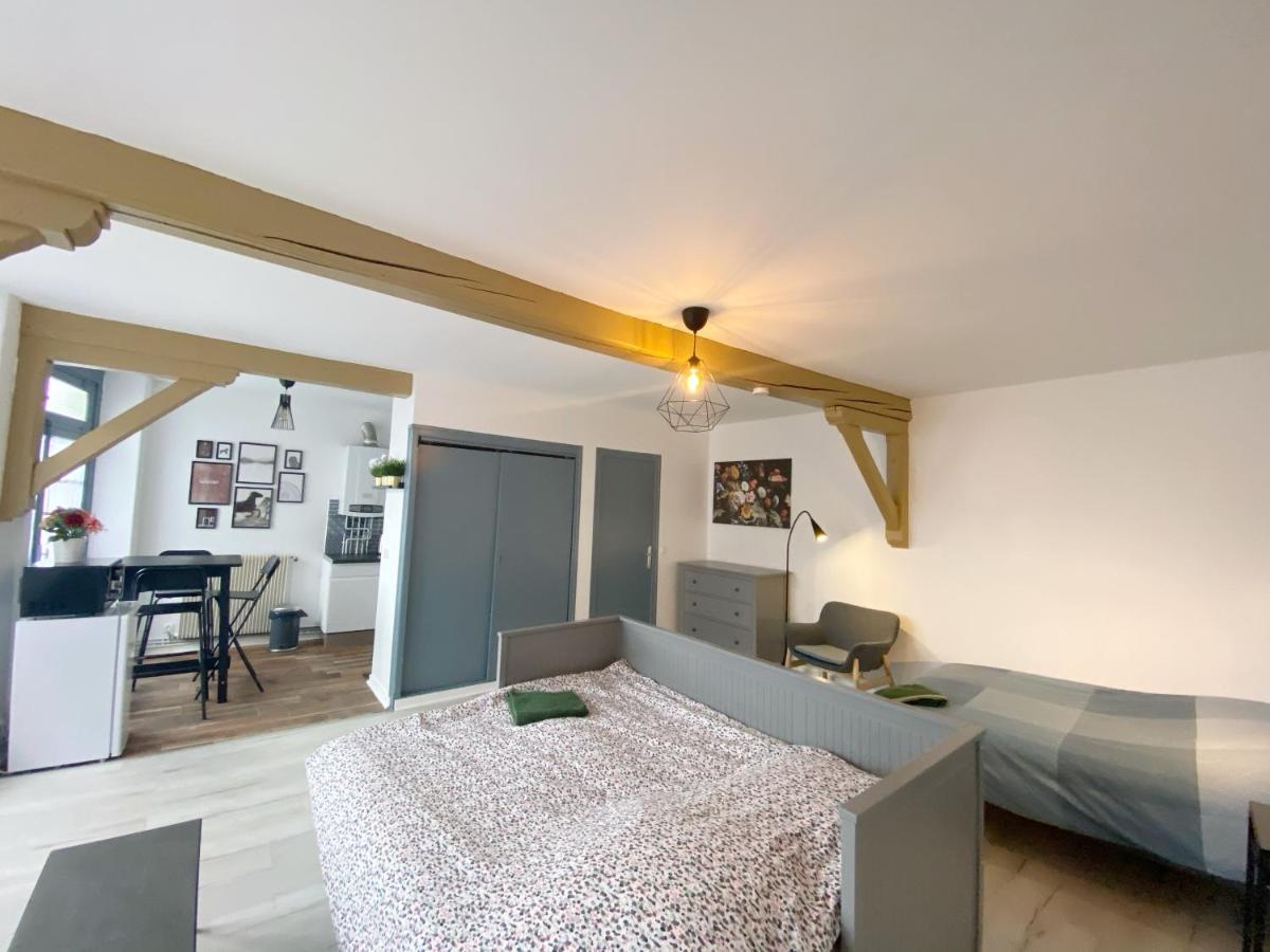 Appartamento CHIC&COSY Studio BUSINESS Centre GARE NETFLIX Saint-Etienne  Esterno foto