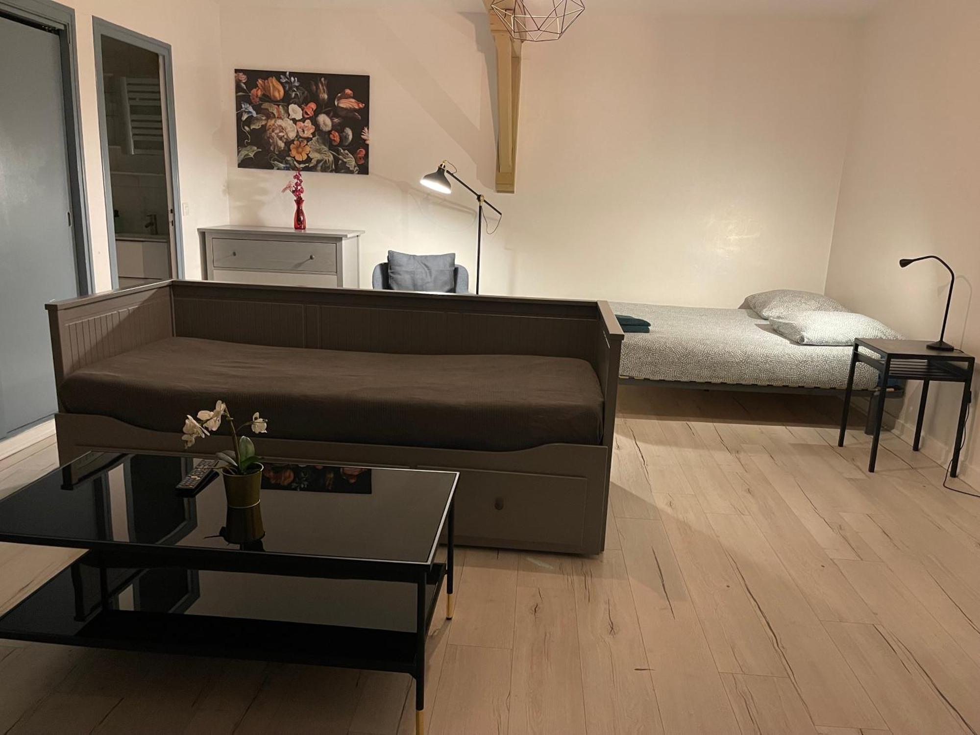 Appartamento CHIC&COSY Studio BUSINESS Centre GARE NETFLIX Saint-Etienne  Esterno foto